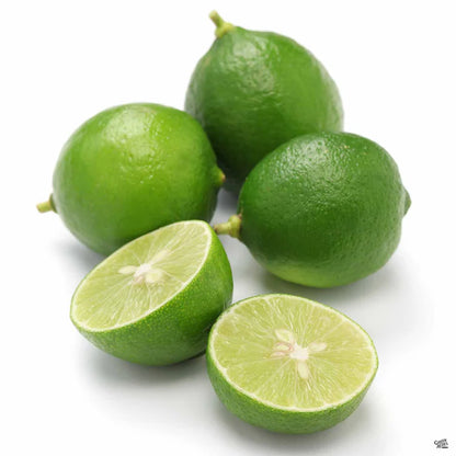 Key Lime (Mexican Lime) Plant Live Nimbu Tree Kagzi Lemon Citrus Limon Fruit Plant