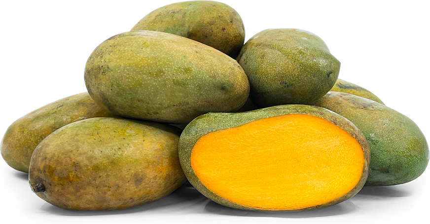 Kohu Amba Mango Aam Grafted Healthy Fruit Plant