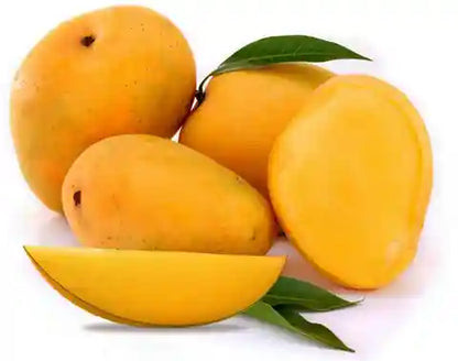 Konkan Ruchi Mango Aam Grafted Healthy Fruit Plant