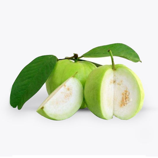 Krishna White Guava Air Layered Healthy Fruit Plant