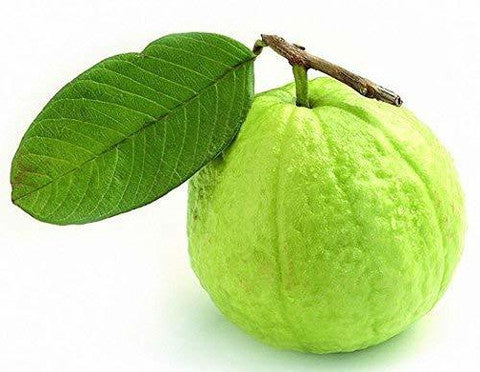 Krishna White Guava Air Layered Healthy Fruit Plant
