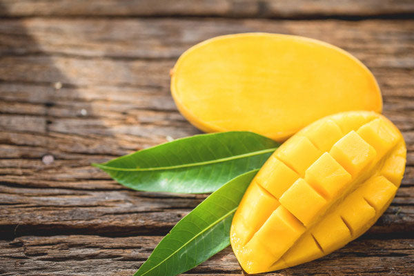 Kulo Mango Aam Grafted Healthy Fruit Plant