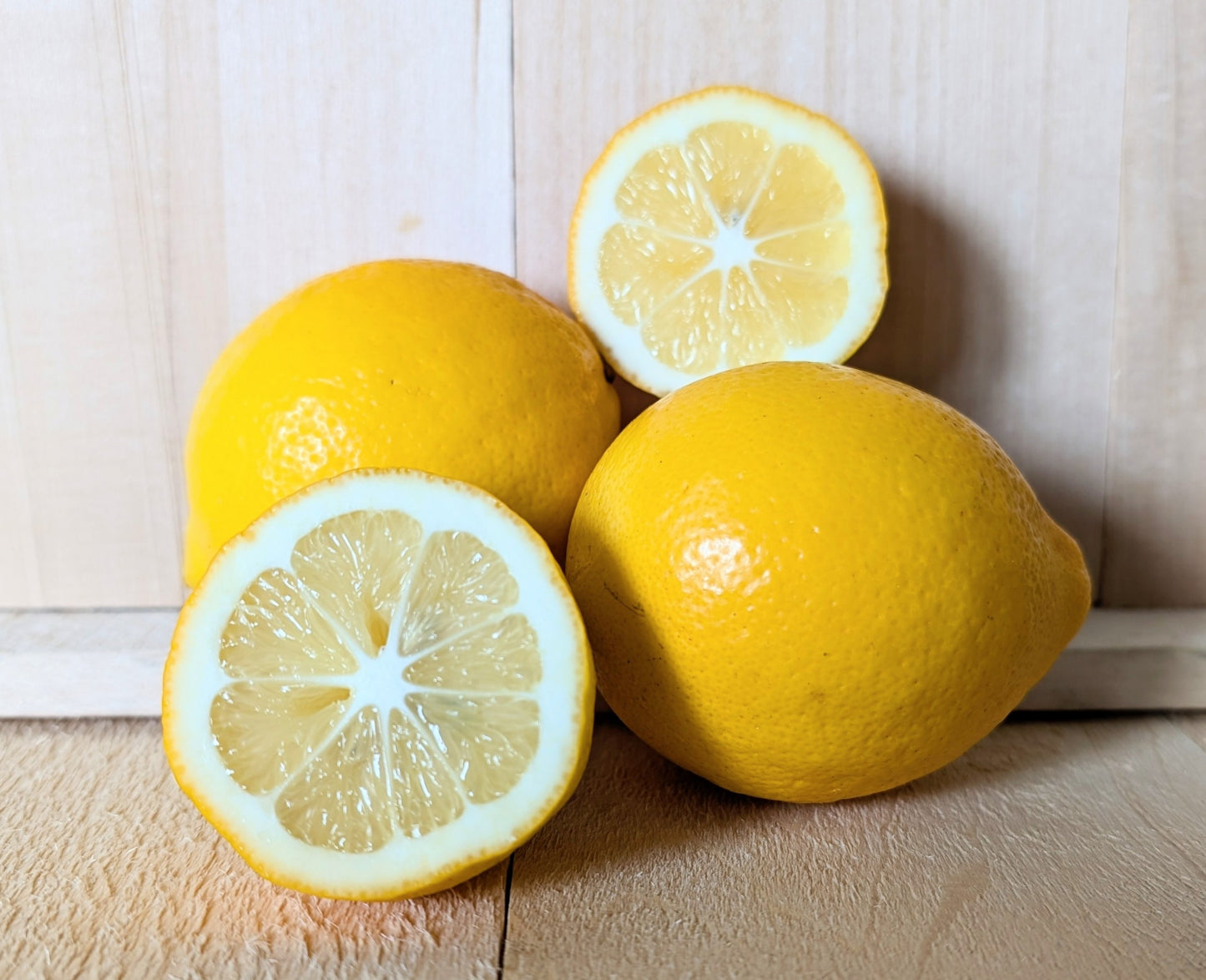 Kumaon Lemon Plant Live Nimbu Tree Kagzi Lemon Citrus Limon Fruit Plant