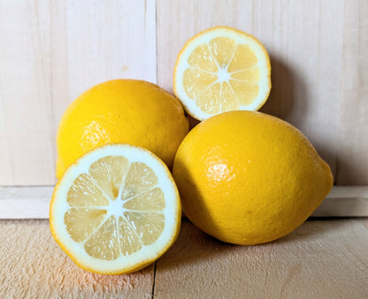 Kumaon Lemon Plant Live Nimbu Tree Kagzi Lemon Citrus Limon Fruit Plant