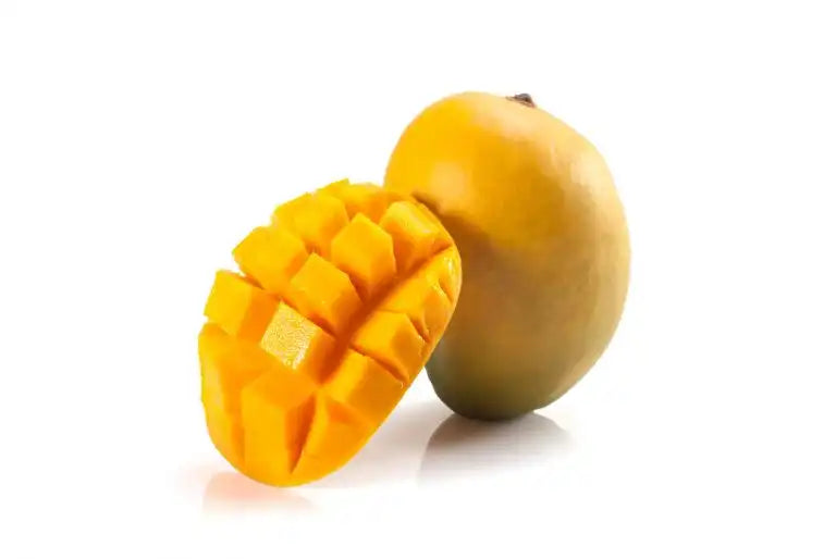 Lakshmanbhog Mango Aam Grafted Healthy Fruit Plant