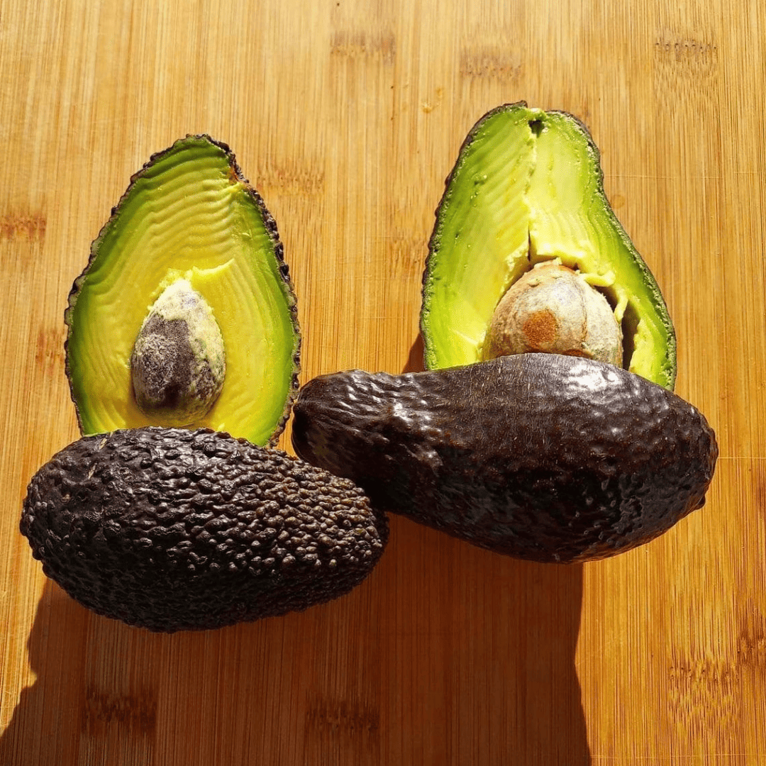 Lamb Hass Avocado Grafted Healthy Fruit Plant