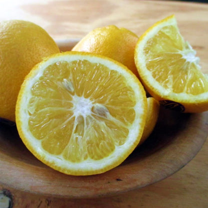 Lemonade Lemon Plant Live Nimbu Tree Kagzi Lemon Citrus Limon Fruit Plant