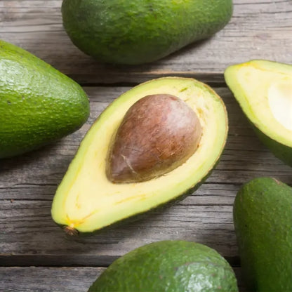 Lula Avocado Grafted Healthy Fruit Plant