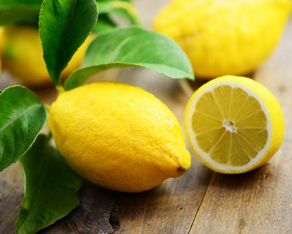 Lunario Lemon (4-season lemon) Plant Live Nimbu Tree Kagzi Lemon Citrus Limon Fruit Plant