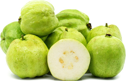 Madagascar White Guava Air Layered Healthy Fruit Plant