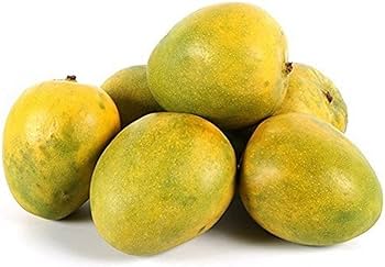 Malgova Mango Aam Grafted Healthy Fruit Plant