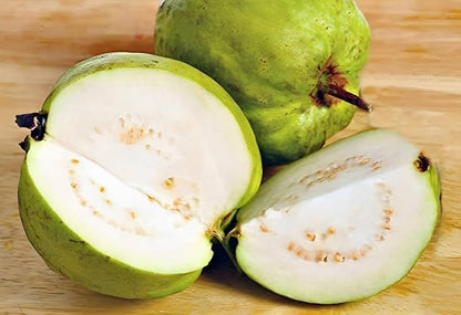 Mali White Guava Air Layered Healthy Fruit Plant