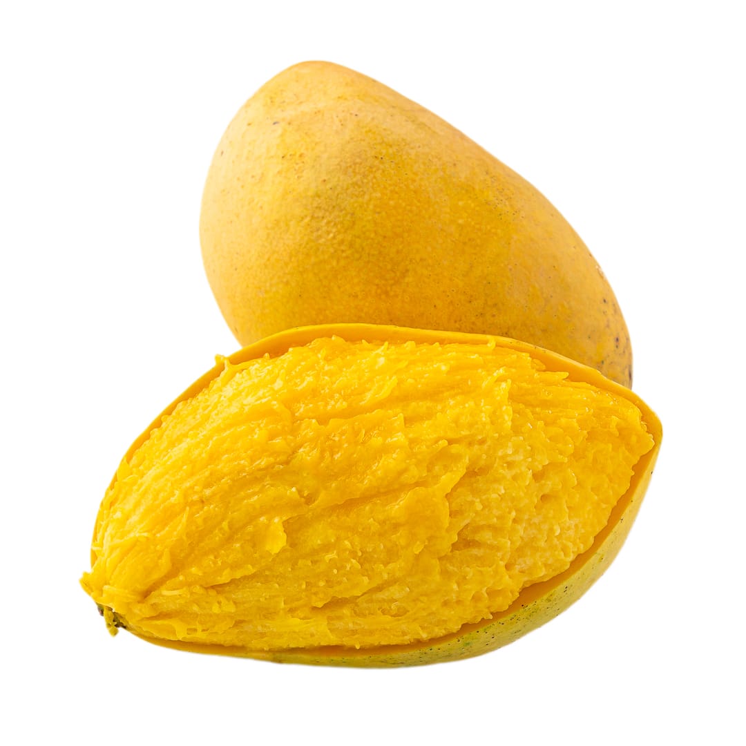 Manila Mango Aam Grafted Healthy Fruit Plant