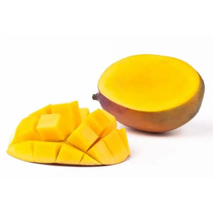 Maya Mango Aam Grafted Healthy Fruit Plant