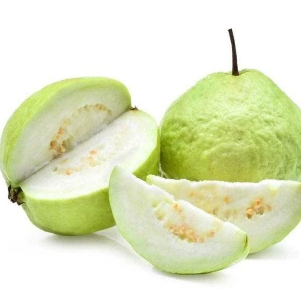 Mirzapur Seedling Guava Air Layered Healthy Fruit Plant