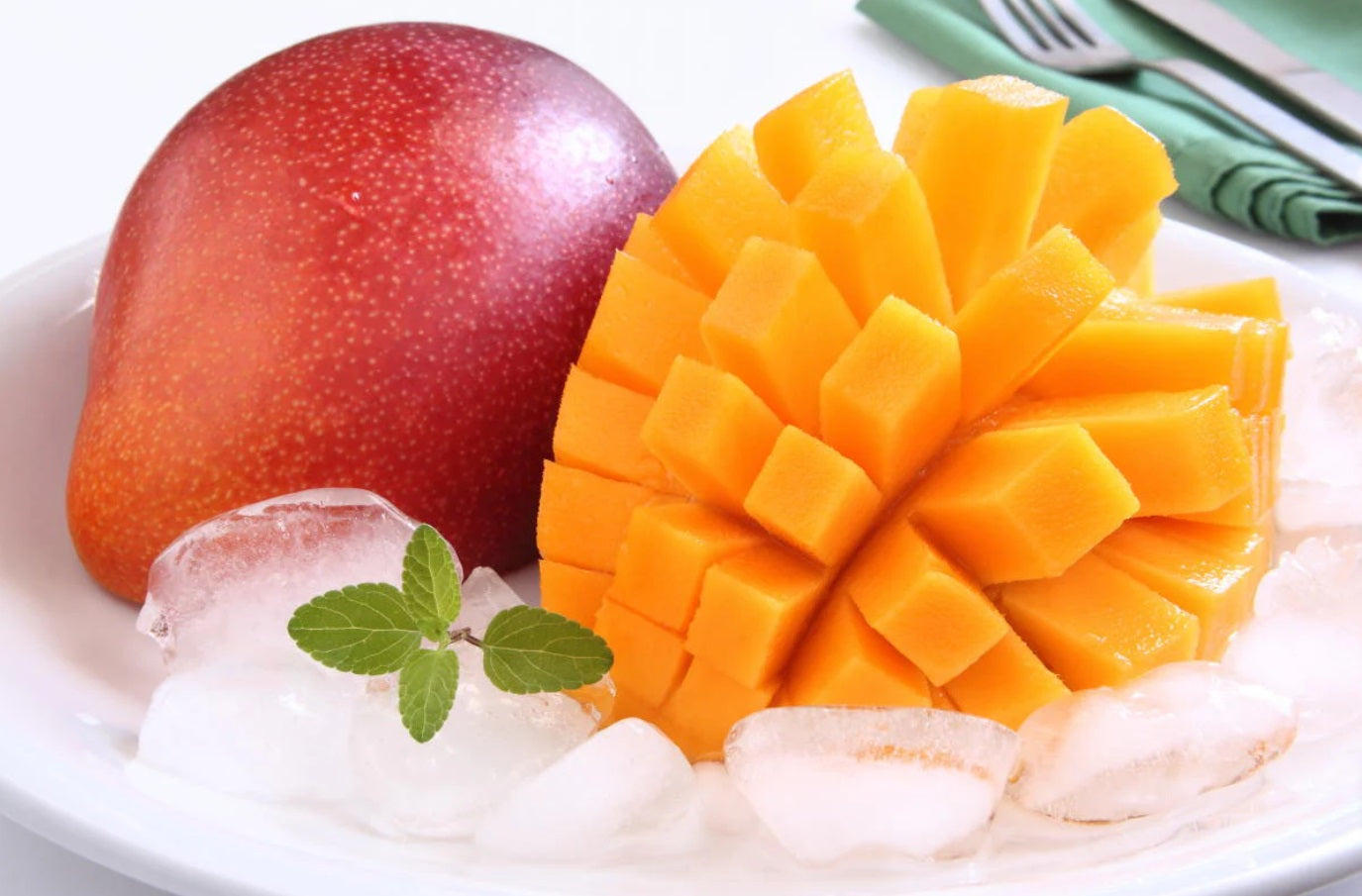 Miyazaki Mango Aam Grafted Healthy Fruit Plant