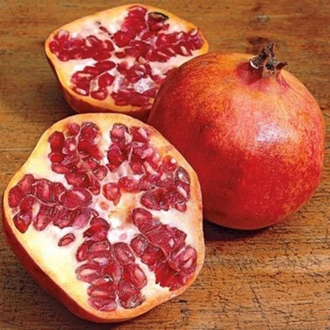 Mollar de Elche Pomegranate Grafted Fruit Plant – High Yielding Sweet Juicy Anar Tree Variety