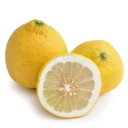 Monachello Lemon Plant Live Nimbu Tree Kagzi Lemon Citrus Limon Fruit Plant