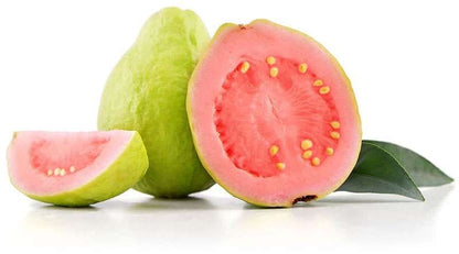 Moroccan Pink Guava Air Layered Healthy Fruit Plant