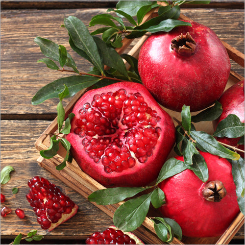 Mridula Pomegranate Grafted Fruit Plant – High Yielding Sweet Juicy Anar Tree Variety