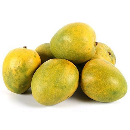 Mulgoa Mango Aam Grafted Healthy Fruit Plant