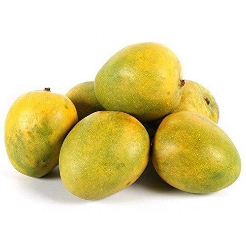 Mulgoa Mango Aam Grafted Healthy Fruit Plant