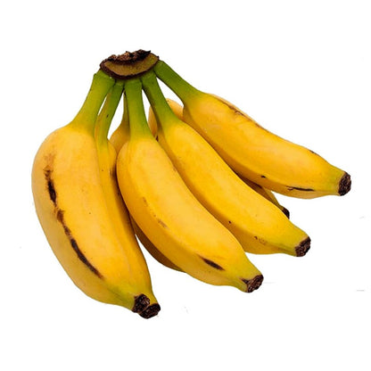 Musa acuminata Banana Healthy Sweet Tissue Cultured Fruit Plant