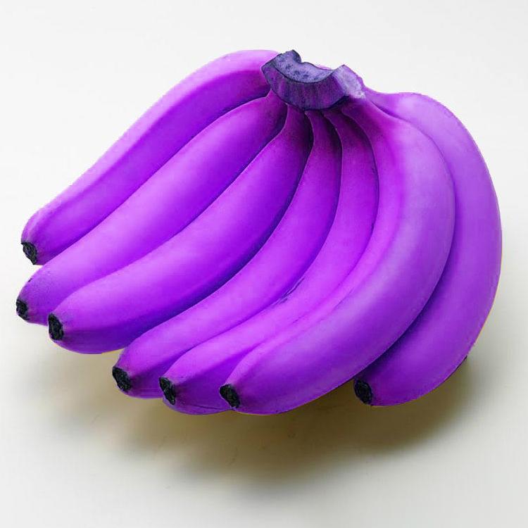 Musa itinerans Banana Healthy Sweet  Tissue Cultured Fruit Plant