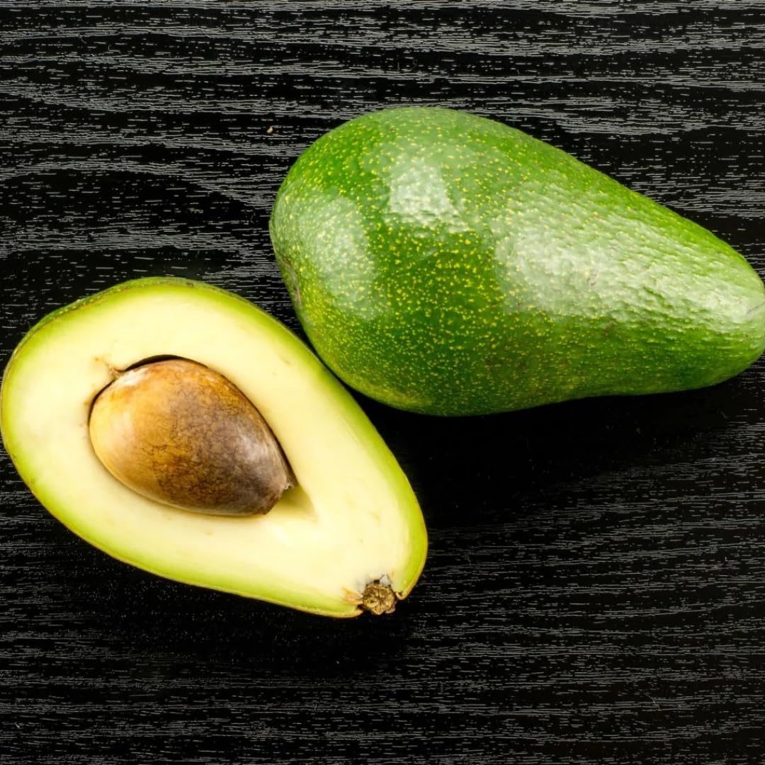 Nabal Avocado Grafted Healthy Fruit Plant