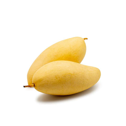Nam Doc Mai Mango Aam Grafted Healthy Fruit Plant
