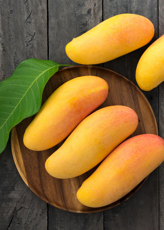 Nang Klangwan Mango Aam Grafted Healthy Fruit Plant