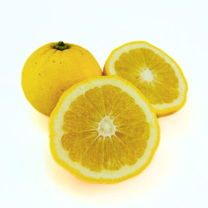 New Zealand Lemonade Lemon Plant Live Nimbu Tree Kagzi Lemon Citrus Limon Fruit Plant