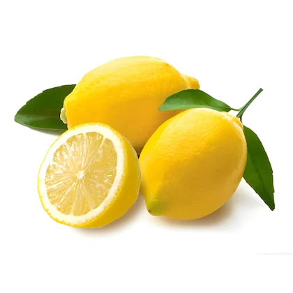 Ningmeng Lemon Plant Live Nimbu Tree Kagzi Lemon Citrus Limon Fruit Plant