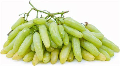 Seedless Sweet Green Long Thompson (Sultana) Variety Air Layered Grapes Plant