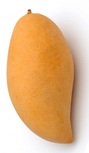 Okrung Mango Aam Grafted Healthy Fruit Plant