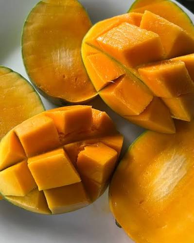 Owais Mango Aam Grafted Healthy Fruit Plant