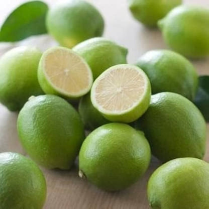 PKM-2 Lemon Plant Live Nimbu Tree Kagzi Lemon Citrus Limon Fruit Plant