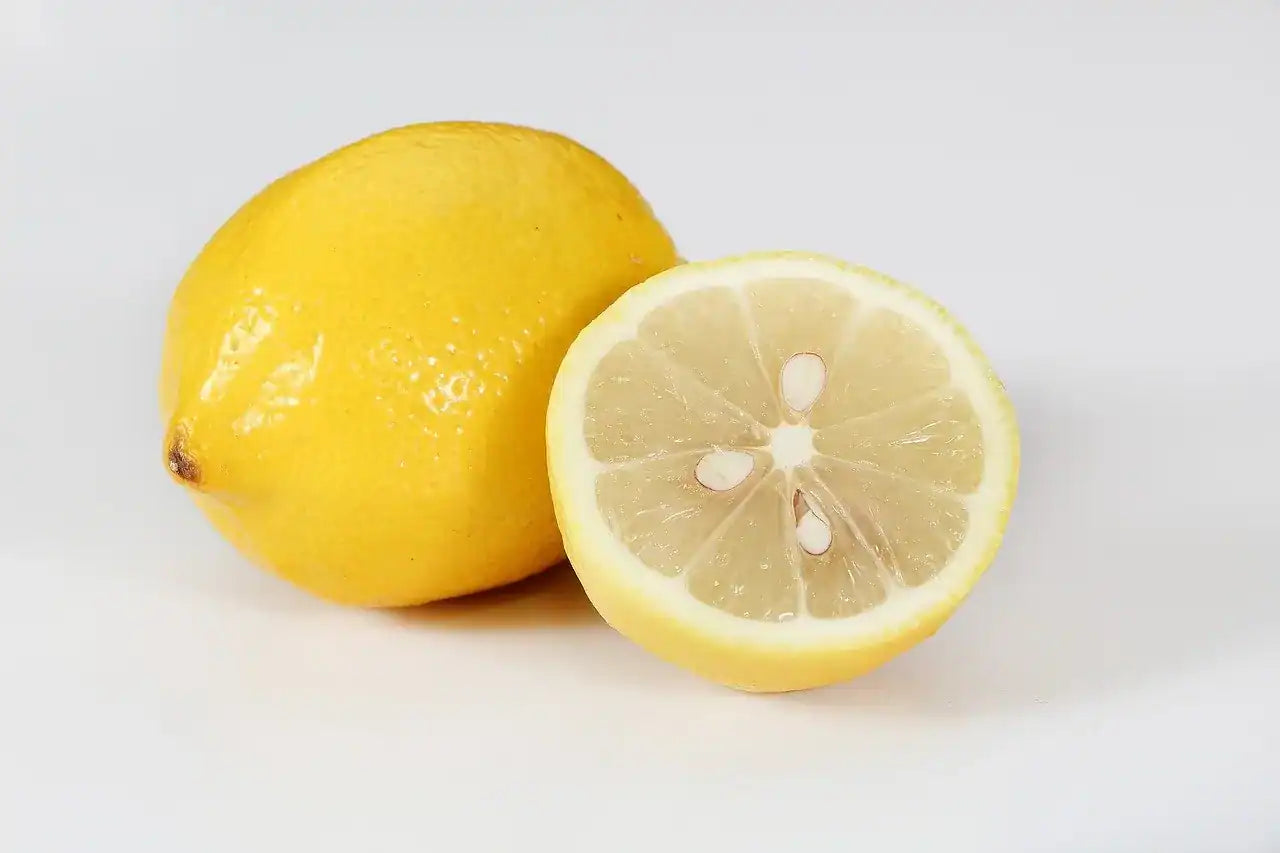 Pahadi Nimbu Plant Live Nimbu Tree Kagzi Lemon Citrus Limon Fruit Plant