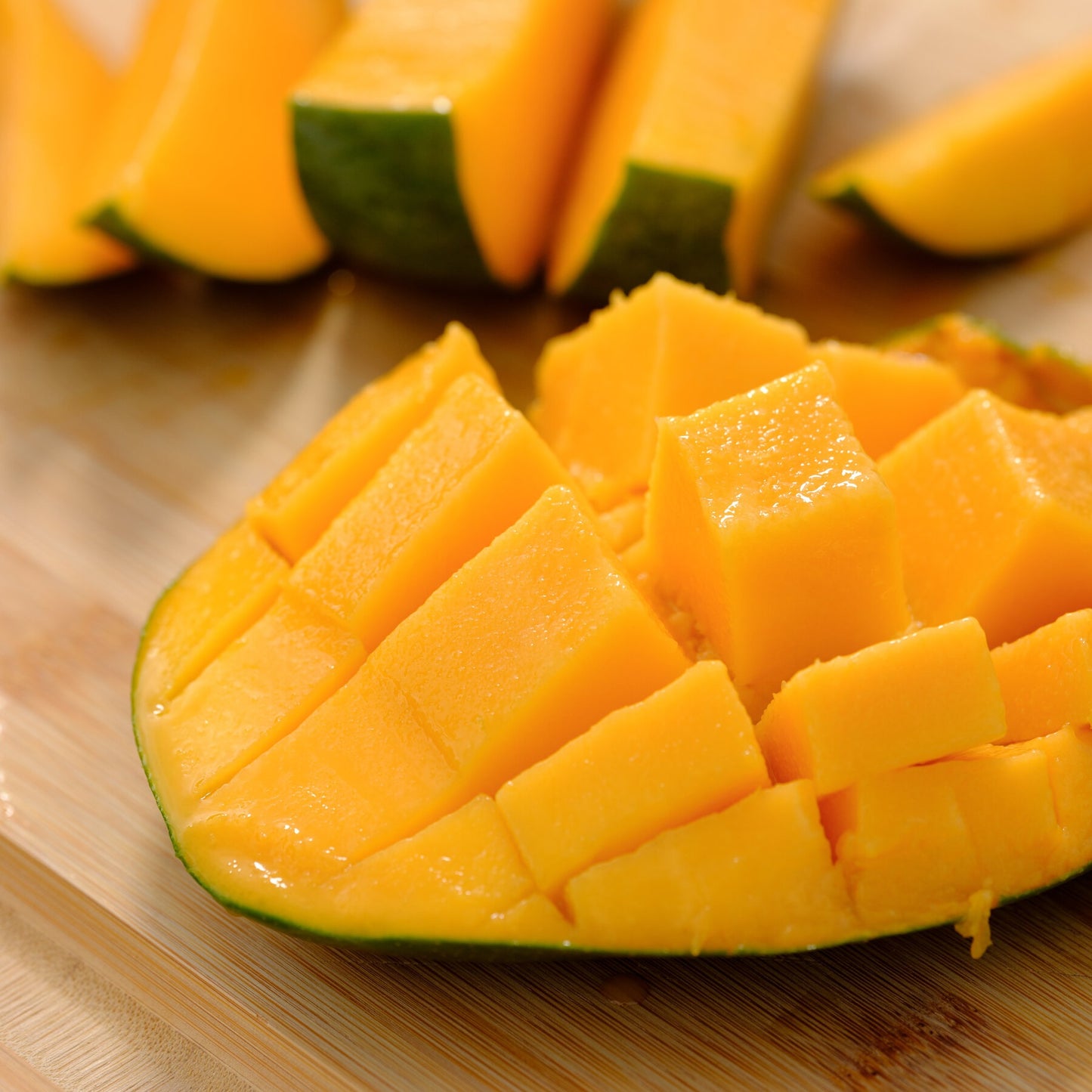 Paige Mango Aam Grafted Healthy Fruit Plant