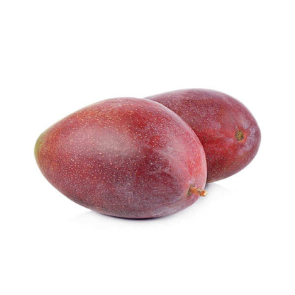 Palmer Mango Aam Grafted Healthy Fruit Plant