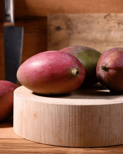 Palmer Mango Aam Grafted Healthy Fruit Plant