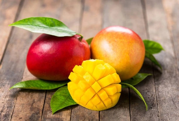 Palmer Mango Aam Grafted Healthy Fruit Plant