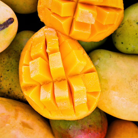 Panchadara Kalasa Mango Aam Grafted Healthy Fruit Plant