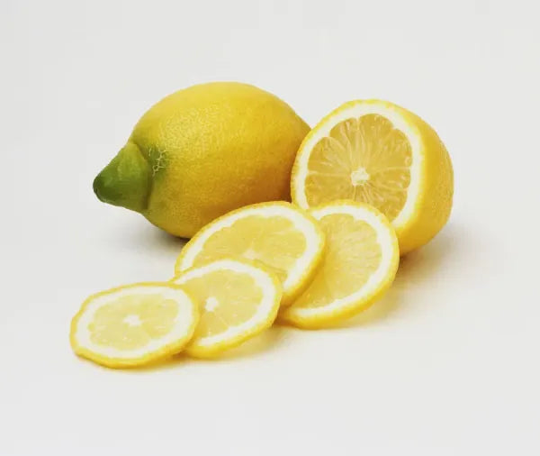 Pane Lemon Plant Live Nimbu Tree Kagzi Lemon Citrus Limon Fruit Plant