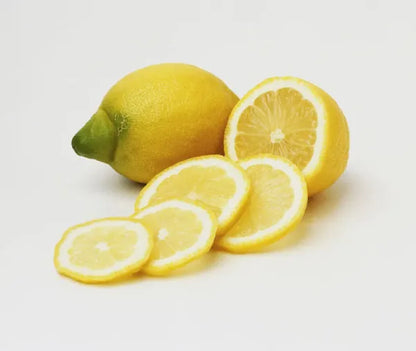 Pane Lemon Plant Live Nimbu Tree Kagzi Lemon Citrus Limon Fruit Plant