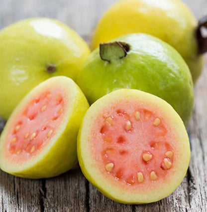 Pant Prabha Guava Air Layered Healthy Fruit Plant