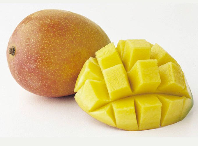 Parvin Mango Aam Grafted Healthy Fruit Plant