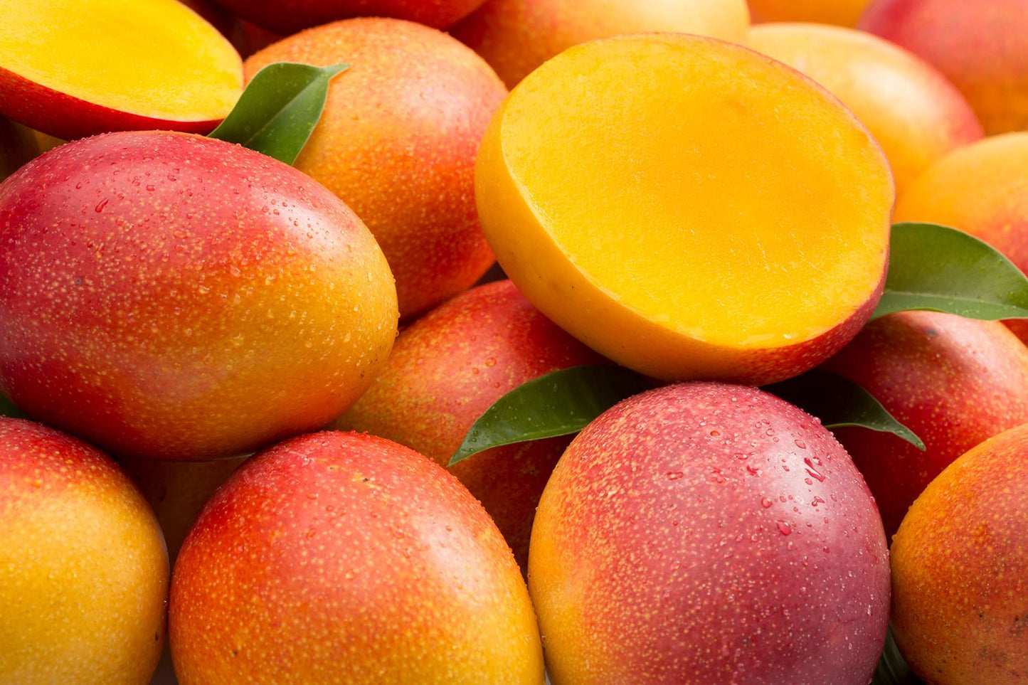 Peach Mango Aam Grafted Healthy Fruit Plant