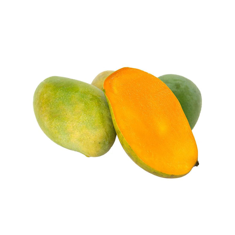 Peddarasamu Mango Aam Grafted Healthy Fruit Plant