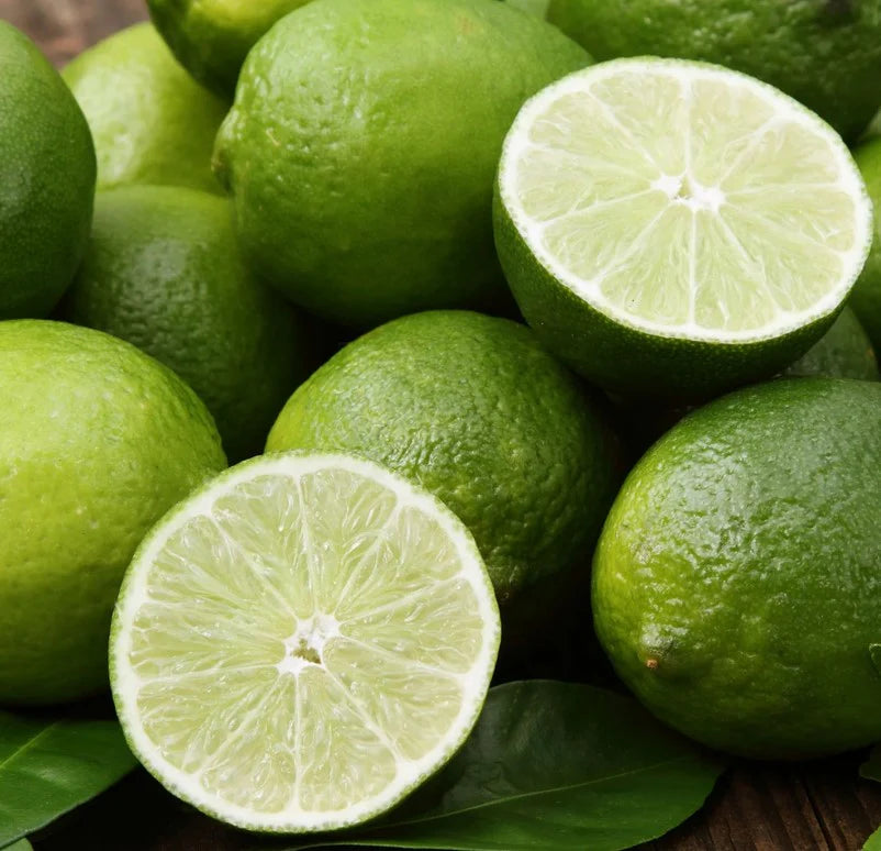 Persian Lime (Tahiti Lime) Plant Live Nimbu Tree Kagzi Lemon Citrus Limon Fruit Plant